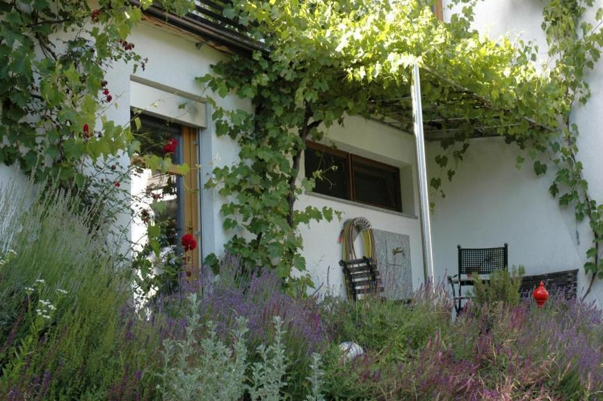 Studio Ualysses Arzl im Pitztal Exterior foto